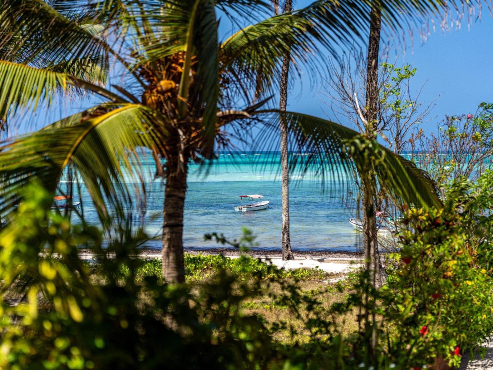 Shanuo Beach Bungalows Michamvi Exterior foto